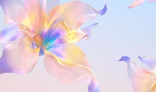 荣耀70PRO最新消息