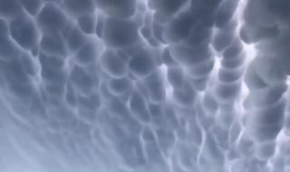 乳状云是什么的预兆 乳状云是什么的预兆